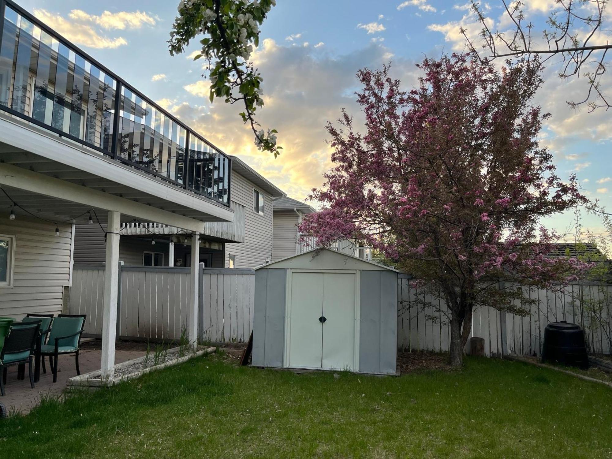 Citadel Hill Cr Community! Apartment Calgary Bagian luar foto